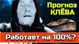 Прогноз клева рыбы.Проверяем прогноз клева рыбы на завтра
