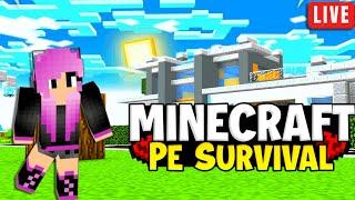 MINECRAFT PUBLIC SMP LIVE | JAVA / BEDROCK 24/7 LIVE SERVER #minecraft #live #shortsfeed  #smp