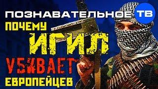 Почему ИГИЛ убивает европейцев? (Познавательное ТВ, Артём Войтенков)