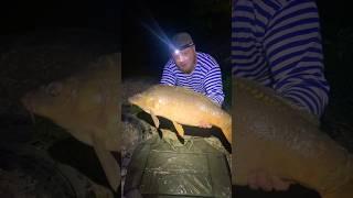 А вы отпускаете рыбу? #fishing #карп #рыба #flatfeeder #рыбалка #carpfishing #fishing #carp