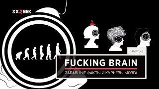 Fucking Brain. Забавные факты и курьёзы мозга