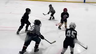 PIA U8 - ???, 2024 - TIGERS (Alex #62) against LIONS (???)