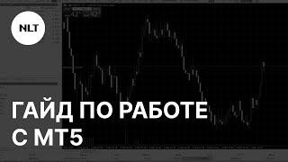 Как использовать торговый терминал Metatrader (MT5) - Настройка и советы