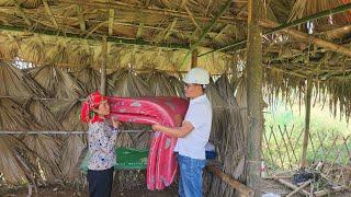 Nhung bought a duckling to take home, and the engineer brought it home and gave him a warm gift