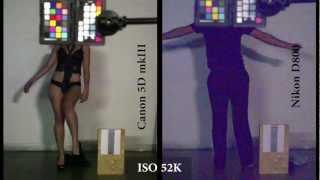 The F%^&ing Nikon D800 vs. Canon 5D mkIII Shootout