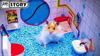  Hamster Escapes the Moon Maze for Pets in real life  Homura Ham Pets