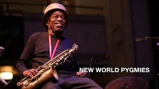 Vision Festival 23: New World Pygmies