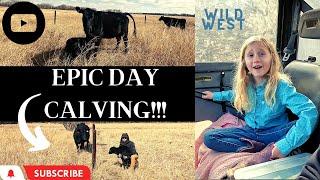 Calving Season Begins! 1st Calf | Wild Life | Calf In Trouble! Episode 1