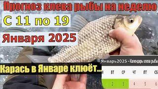 Прогноз клева рыбы на неделю с 11 по 19 Января 2025  Лунный Календарь рыбака январь 2025