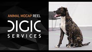 DIGIC Services - Animal Mocap Reel