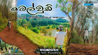 Bellwood| Sri Lanka |බෙල්වූඩ් පුංචි නවසීලන්තයට...|Vlog 5