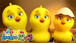 Los Pollitos Dicen Pio Pio - Canciones Infantiles para niños - LooLoo Kids | Baile para niños