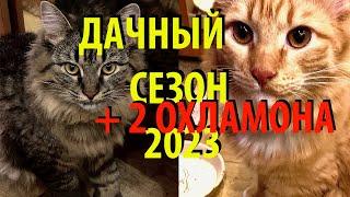 ДАЧНЫЙ СЕЗОН 2023