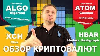 #ALGO #ATOM #XCH #HBAR обзор криптовалют Algorand, Cosmos, Chia, HederaHashgraph, технический анализ