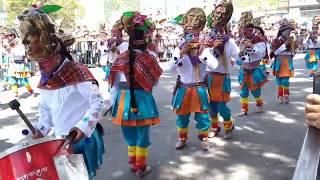 Carnaval de negros y blancos 2020 colectivos Indo Americanto y Raza Libertad Pasto Nariño Colombia