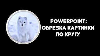 Powerpoint: как обрезать картинку по кругу