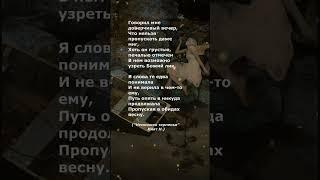 #поэзия #стихи #poetry
