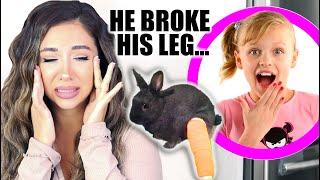 PET YOUTUBER REACTS TO PAYTON DELU'S RABBIT CARE 