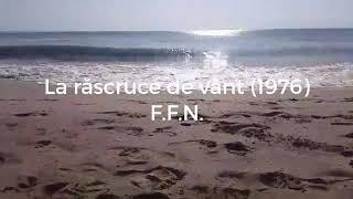 F.F.N. - La răscruce de vânt.