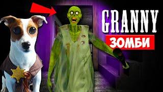 ► СОБАКА ИГРАЕТ В GRANNY ►МОД ГРЕННИ ЗОМБИ ► Dog playing in Zombie Granny