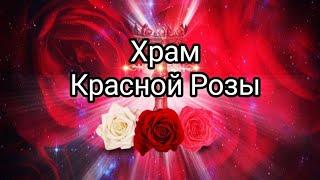 Храм Красной Розы Магдалины #медитация