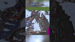 xray glitch in survival 1.19