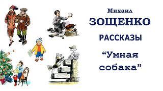 М.Зощенко "Умная собака" - Рассказы Зощенко - Слушать