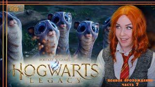 HOGWARTS LEGACY. Полное прохождение Хогвартс Наследие на русском. ч.7 PC