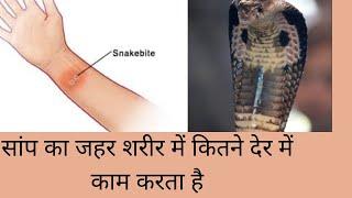 सांप का जहर शरीर में कितने देर में काम करता है, #Snake bite, #Snake Venom 