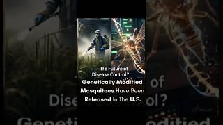 Gene-Hacked Mosquitoes Released in U.S. to Combat Deadly Diseases!