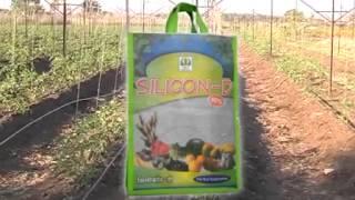 Silicon D (Dev Agro India )