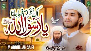 Yaa Rasool Allah Nazre Karam Farma Jana | Abdullah Saifi | New Siafi Naat 2024 | TLP TARANA | نعت