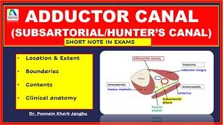 Adductor Canal | Adductor canal Anatomy | Subsartorial canal | Hunter's Canal |