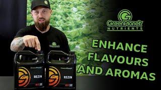 GreenPlanet Nutrients Rezin: Bring The Fire To Your Flowers