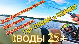 ГДЕ СУДАК и ЩУКА Когда t воды 25+. ЭФФЕКТИВНОСТЬ МЕЛКИХ ПРИМАНОК. ПОСЛЕДСТВИЯ СМЕРЧА 17.07.2024.