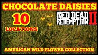 CHOCOLATE DAISIES 10 Locations American Wild Flower Collection Red Dead Online