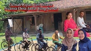 Desa Cantik & Otentik Salah Satu Lumbung Padi Blora "Gemah Ripah Lohjinawe" Antara Mbaon & Persilan