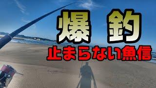 【#リモートサーフ感謝祭第10回】鮫川河口で釣りしたら爆釣しちゃった　/　I caught too many fish and it was a problem