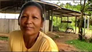 We visit an Arawak indian settlement and speak with some women; tribal chief Daniel Gomez!