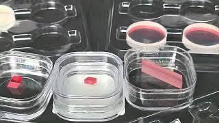 Optical components for Ti:Sapphire laser