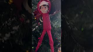 My elf on the shelf part 1