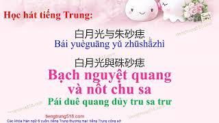 Bạch nguyệt quang và Nốt chu sa 白月光与朱砂痣 Bai yue guang yu zhu sha zhi