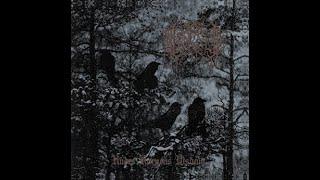 Törnen - Under Korpens Visdom (Album 2024)