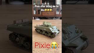 Pixie after biting me be like|Pixie’s Diary