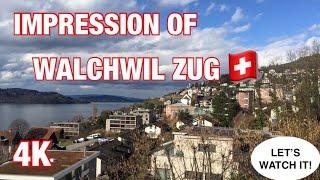 WALCHWIL ZUG WITH RELAXING MUSIC by ShingBase