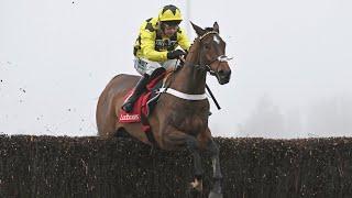 SIR GINO sparkles on chasing debut after round of schooling in the dark