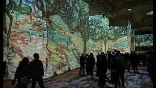 Carrières de Lumières - Baux de Provence