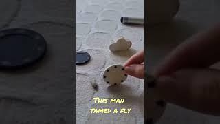 Smart fly