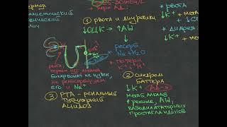Нефрология - Гипокалиемия- Урок 13