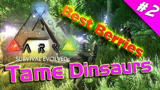 Ark:Survival Evolved Tamed Dinosaurs Best Berry Combo How To Tame A Dinosaur FAST